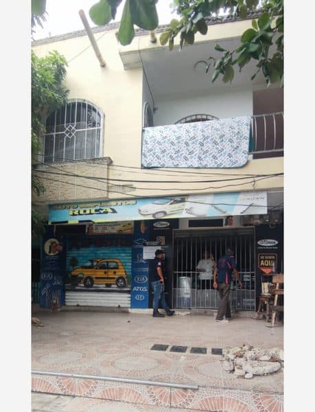El corozo